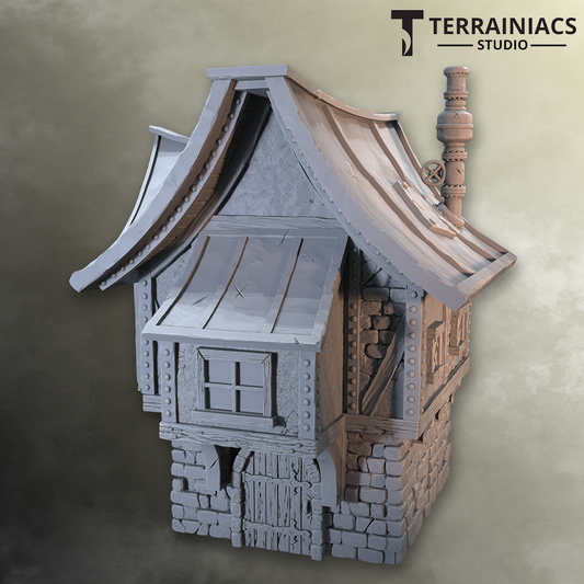 Steampunk House