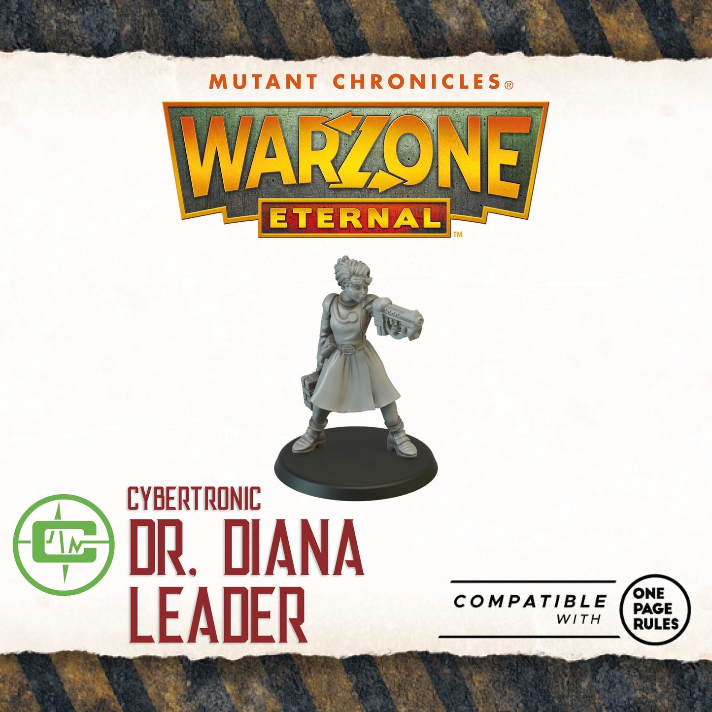 Dr Diana Leader