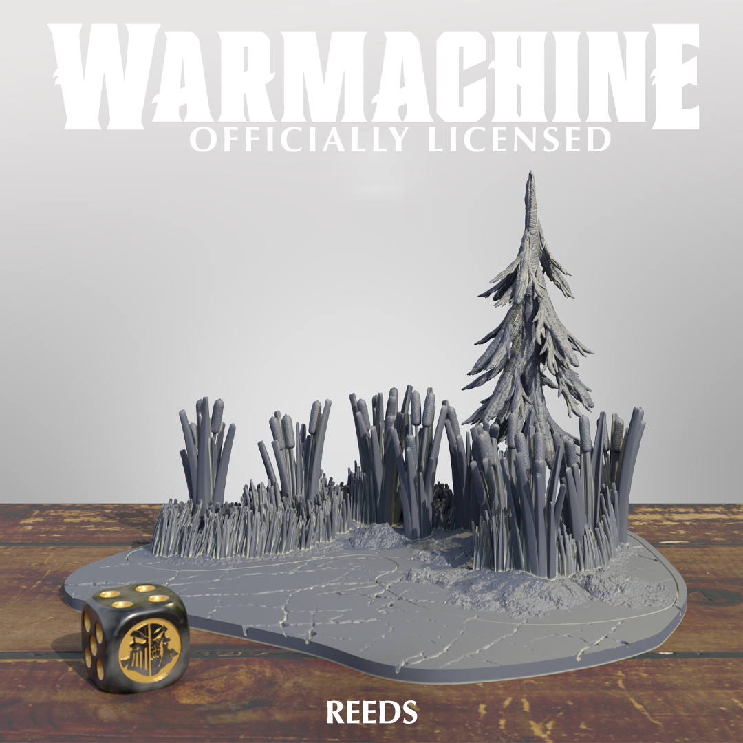 Warmachine 3D Old Umbry